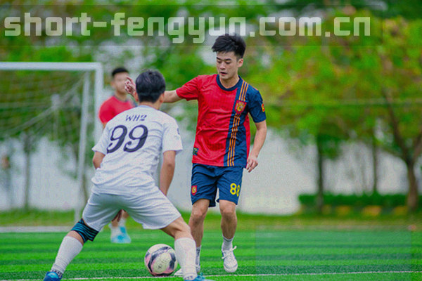 风云体育常见问题解决流程抽象图